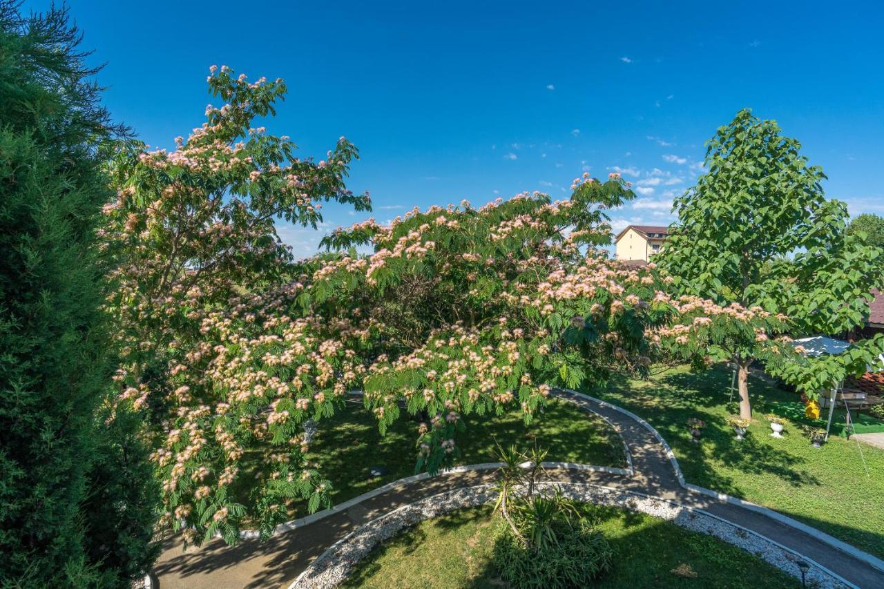 Vila Cataleya ヴィーナス エクステリア 写真